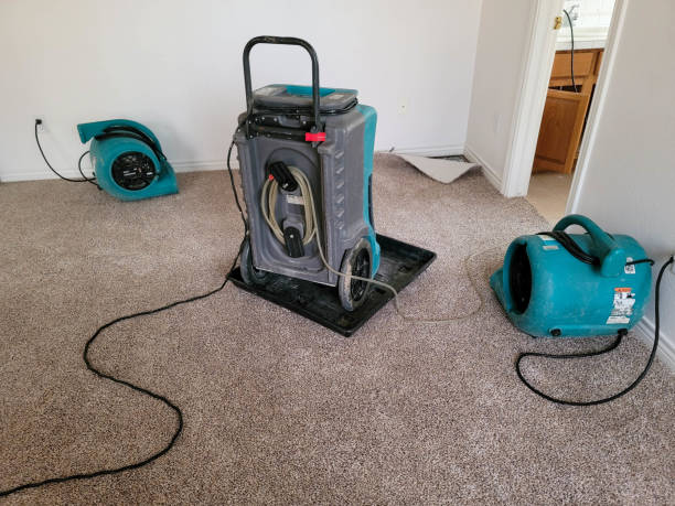 Best 24/7 water damage repair  in Casey, IL