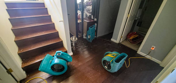 Best Ceiling water damage repair  in Casey, IL
