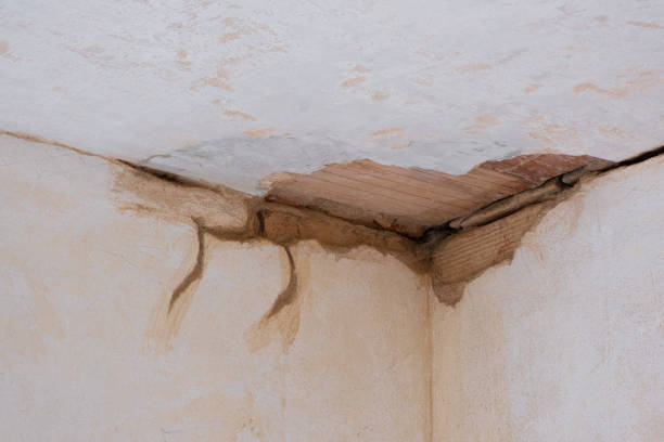 Best Local water damage restoration  in Casey, IL