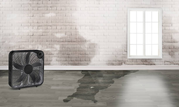 Best Commercial water damage restoration  in Casey, IL