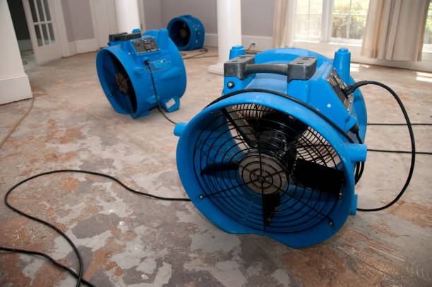 Best Flooded house restoration  in Casey, IL