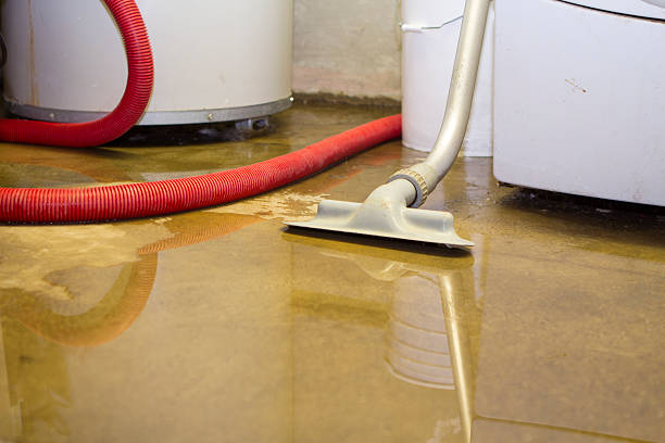Best Basement water damage restoration  in Casey, IL