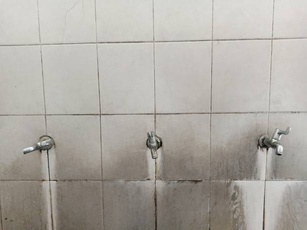 Best Sewage cleanup and water damage restoration  in Casey, IL