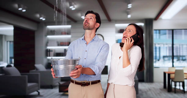 Best Water damage mitigation services  in Casey, IL