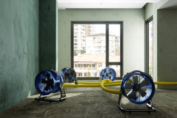 Best Water damage cleanup near me  in Casey, IL