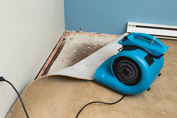 Best 24-hour water damage restoration  in Casey, IL